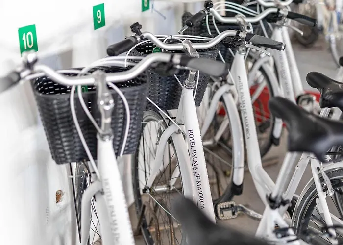 Hotell Palma De Majorca 3*